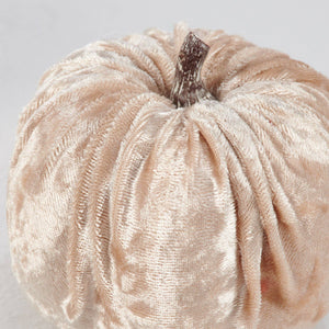 Velvet Trio Pumpkin Set