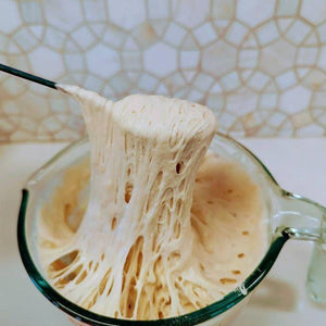 Organic, Non-GMO Sourdough Starter | Freeze Dried |  12gm