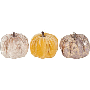 Velvet Trio Pumpkin Set
