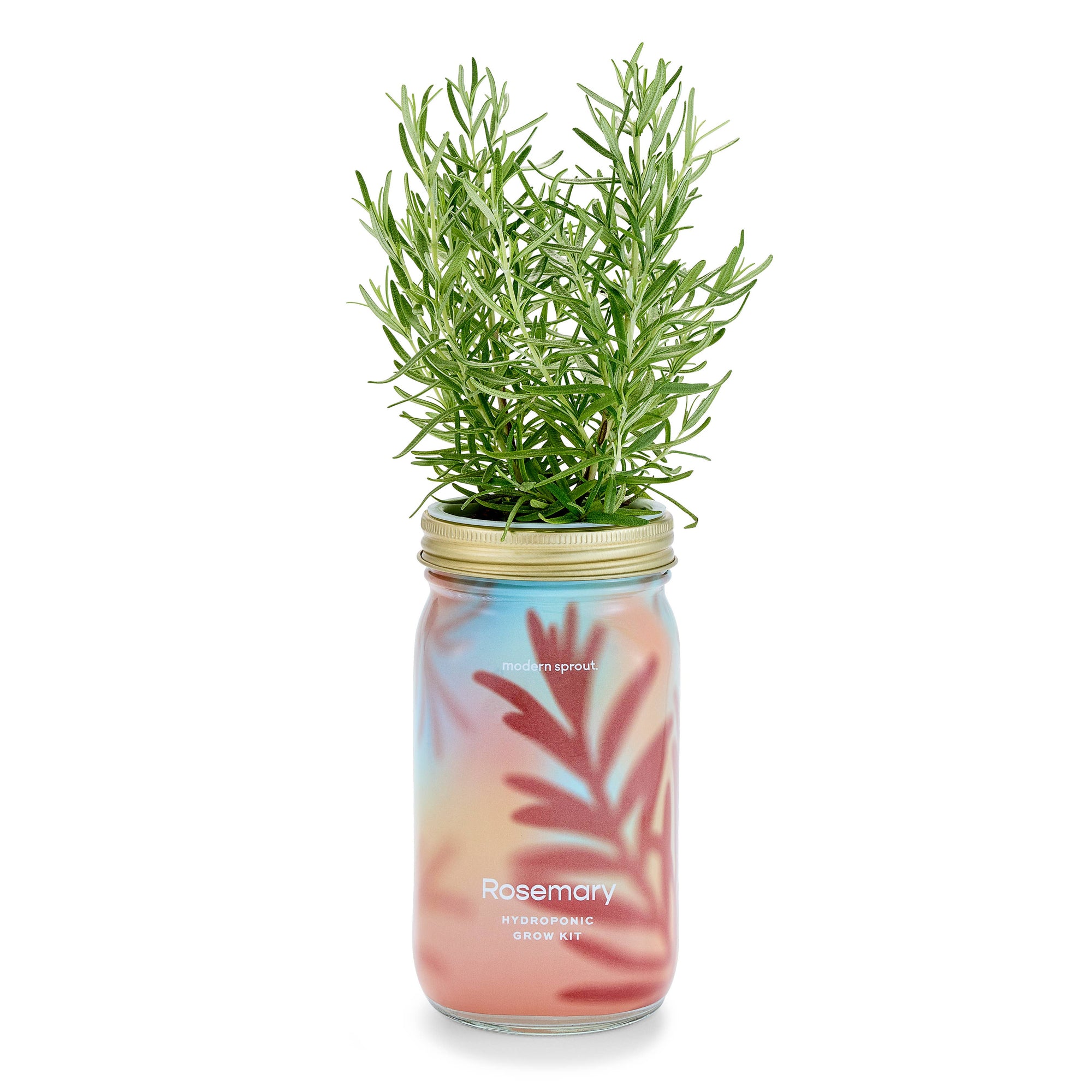 Herb Garden Jar: Mint