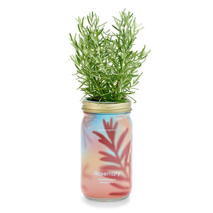 Herb Garden Jar: Mint