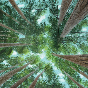 Trees by Tony Johnston