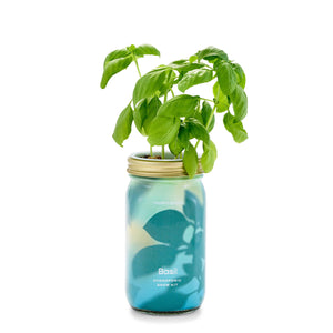 Herb Garden Jar: Basil