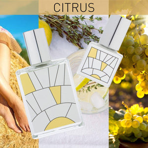 BLENDS Perfume Oil: Citrus