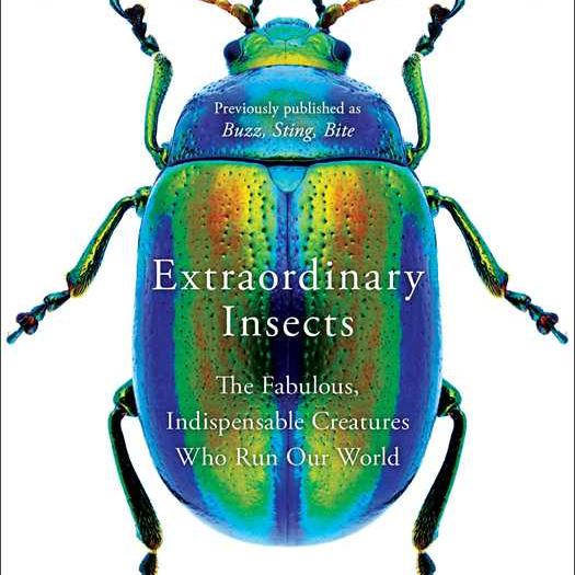 Extraordinary Insects by Anne Sverdrup-Thygeson