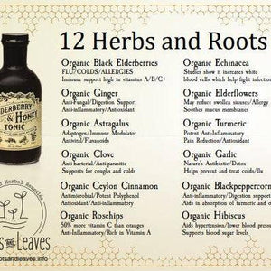 Elderberry and Honey Tonic