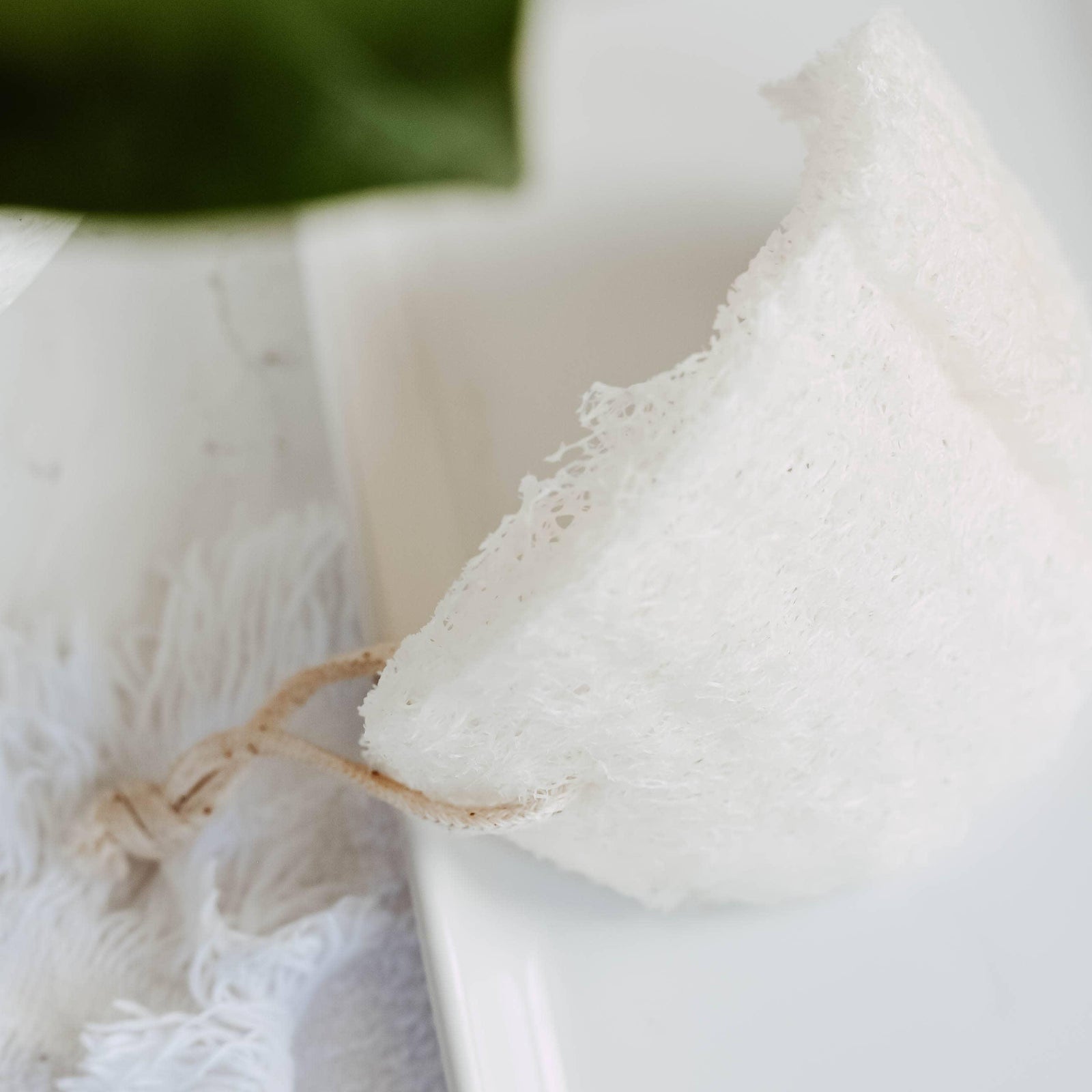 Loofah - single layer 2 pack