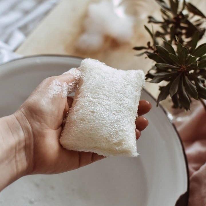 Kitchen Loofah Sponge