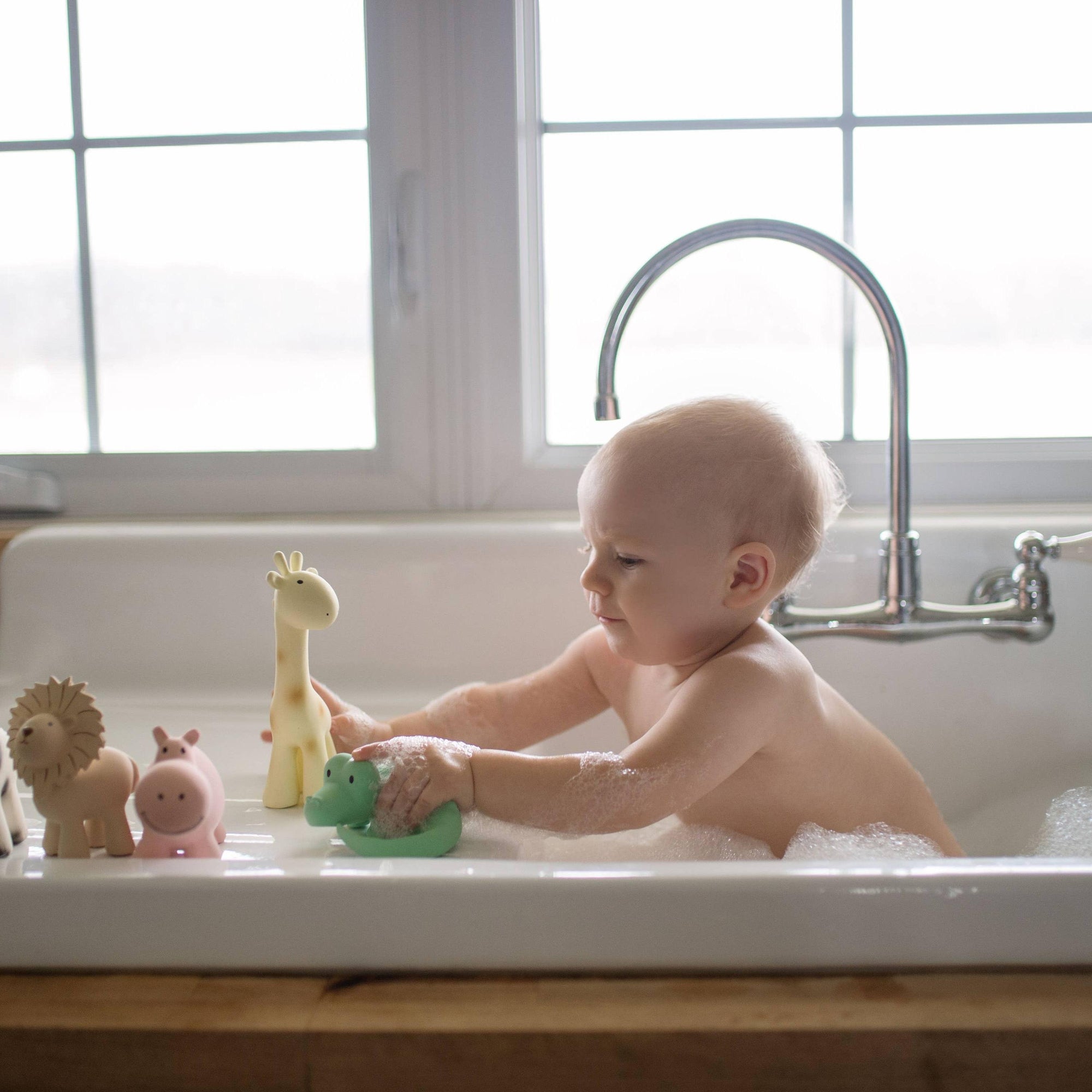 Lion Natural Organic Rubber Rattle, Teether & Bath Toy