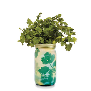 Herb Garden Jar: Mint