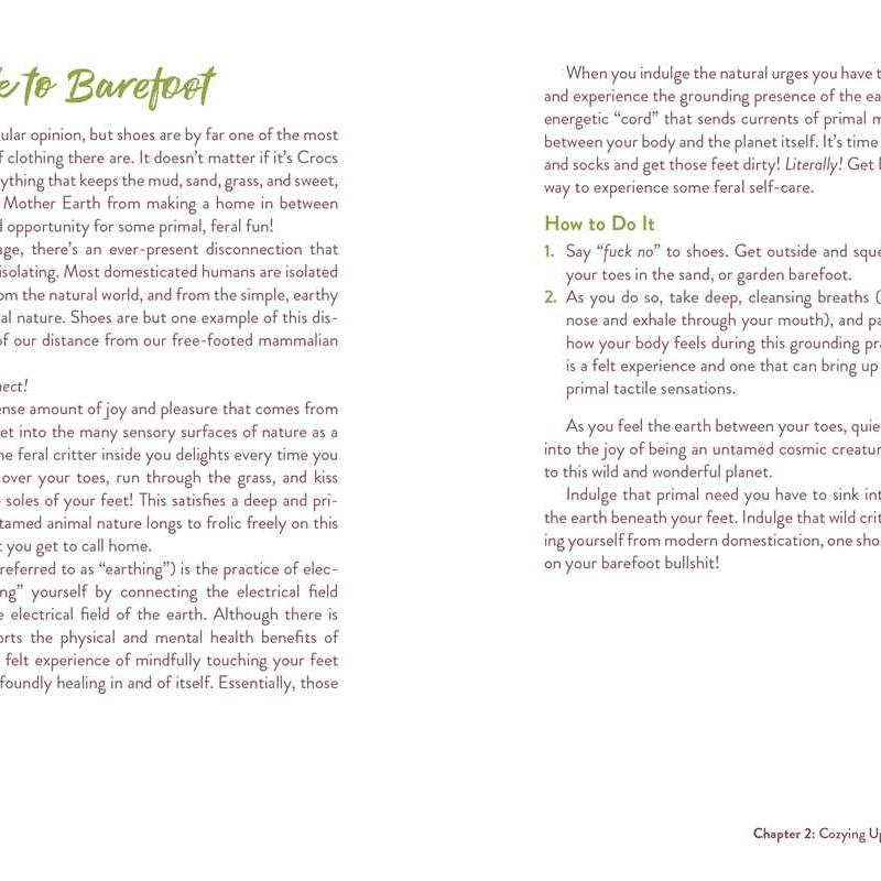 Feral Self-Care by Mandi Em