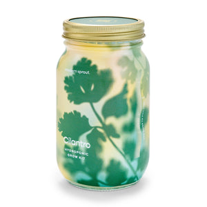 Herb Garden Jar: Mint