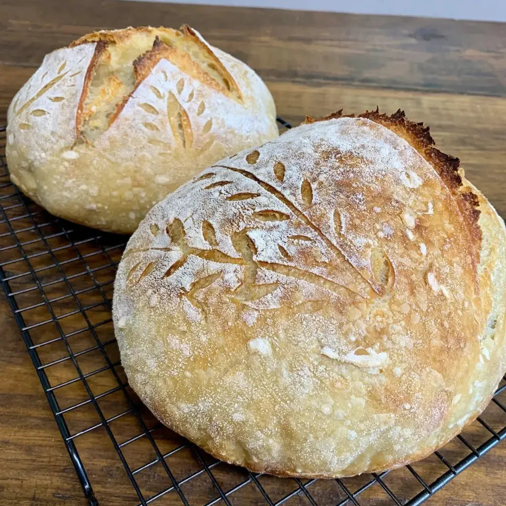 Organic, Non-GMO Sourdough Starter | Freeze Dried |  12gm