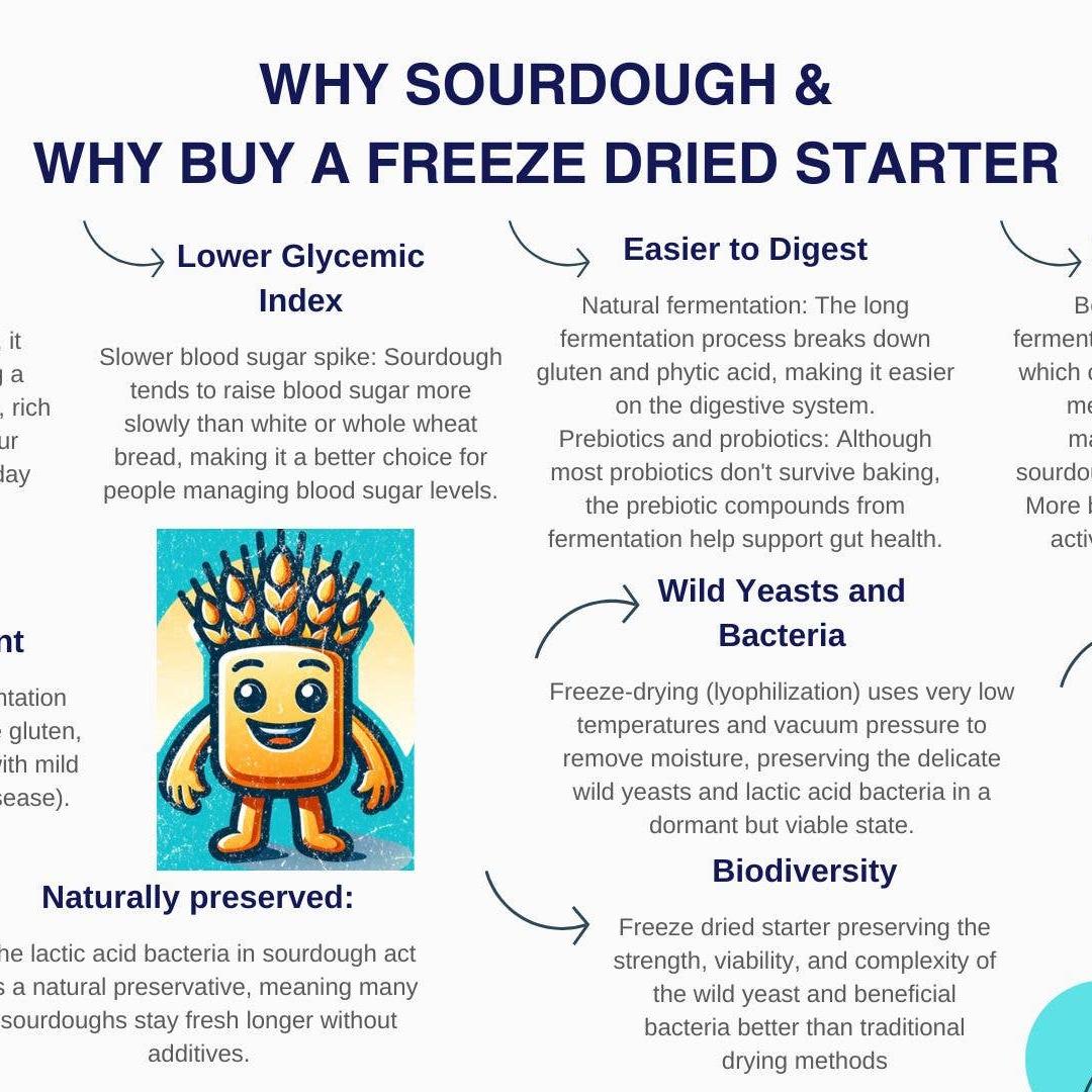 Organic, Non-GMO Sourdough Starter | Freeze Dried |  12gm
