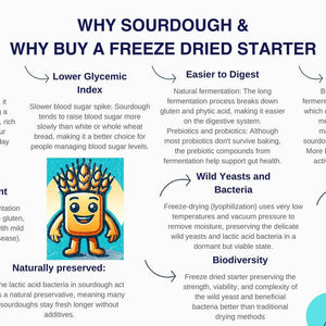 Organic, Non-GMO Sourdough Starter | Freeze Dried |  12gm