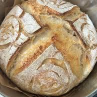 Organic, Non-GMO Sourdough Starter | Freeze Dried |  12gm
