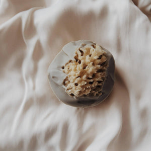 Sea Siren Sea Sponge & Sea Moss Gel Handcrafted Soap