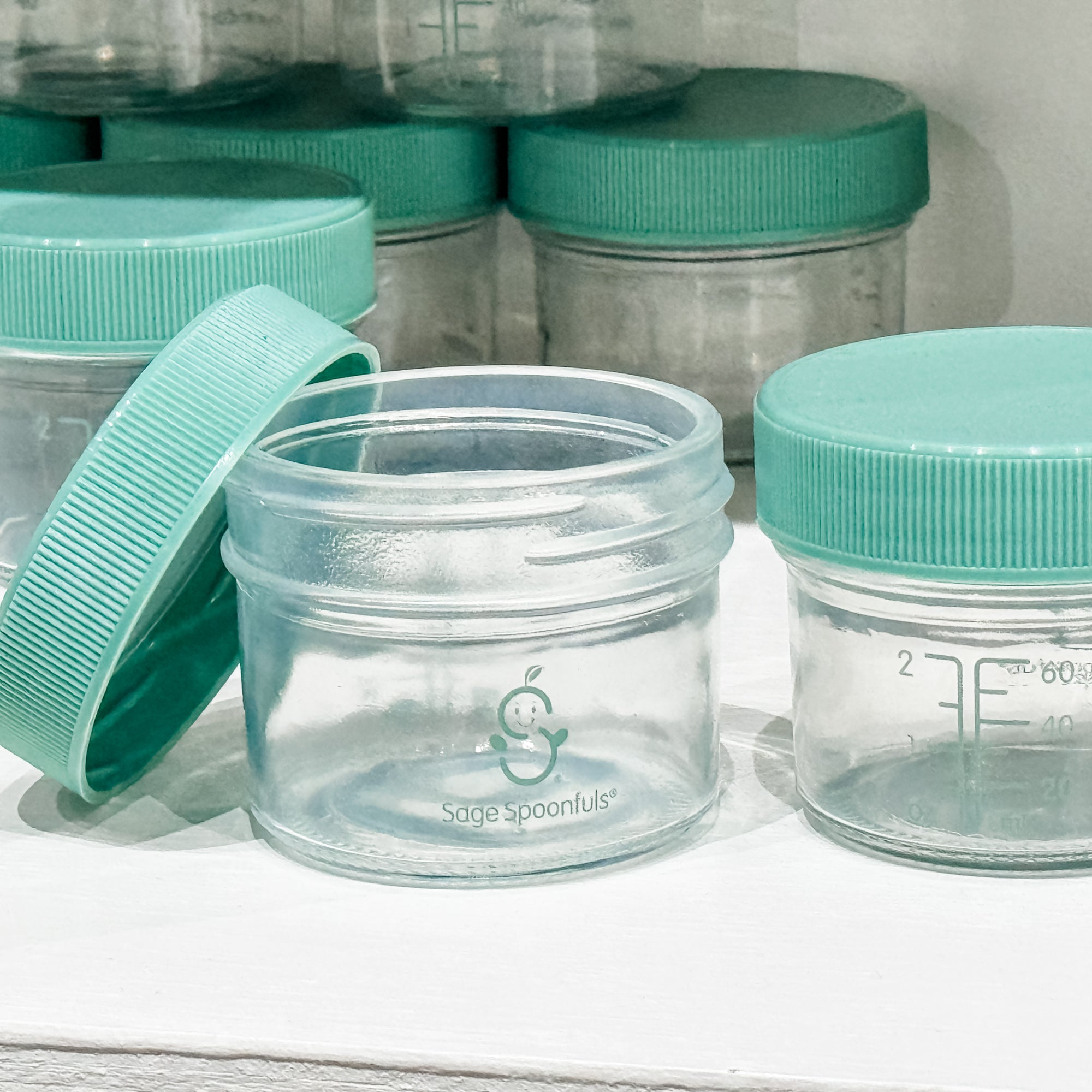 Baby Food Prep Jars/Bowls