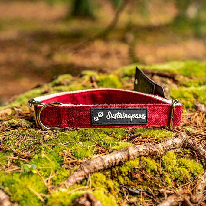 Sustainapaws Hemp & Organic Cotton Eco Dog Collar - Lemon & Lavender