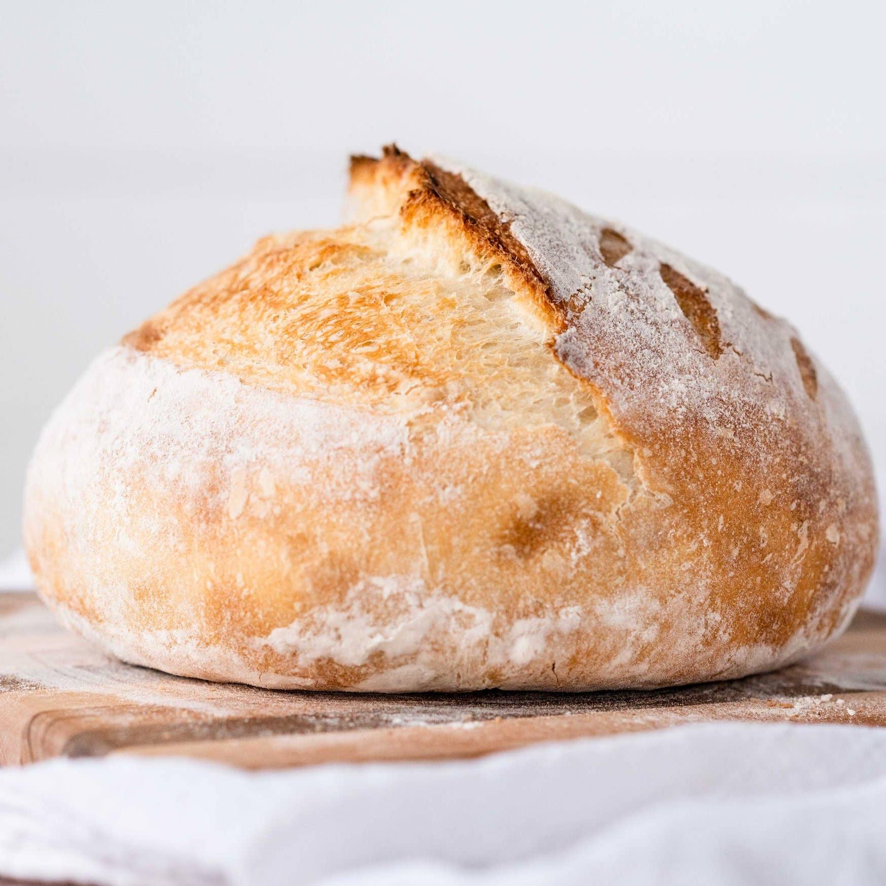 Organic, Non-GMO Sourdough Starter | Freeze Dried |  12gm