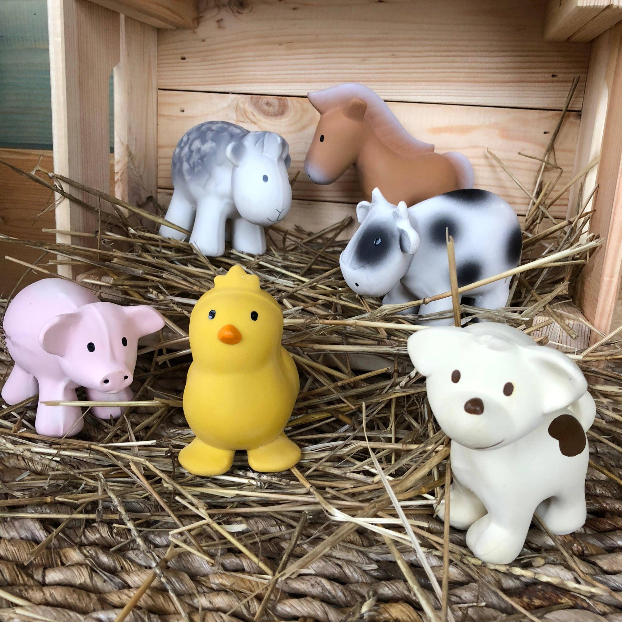 Puppy Natural Organic Rubber Teether, Rattle & Bath Toy