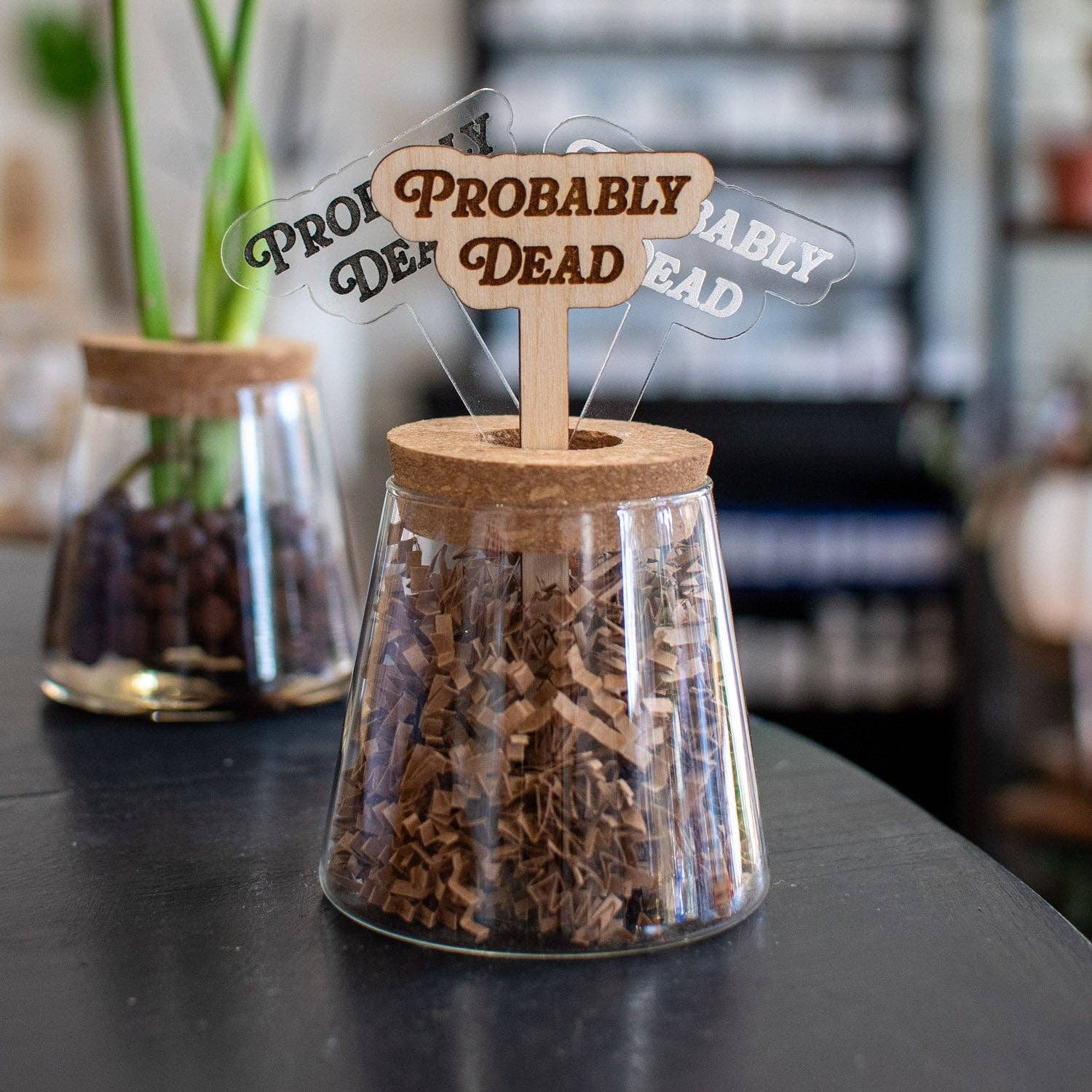 Plant Stakes: Birch Plywood