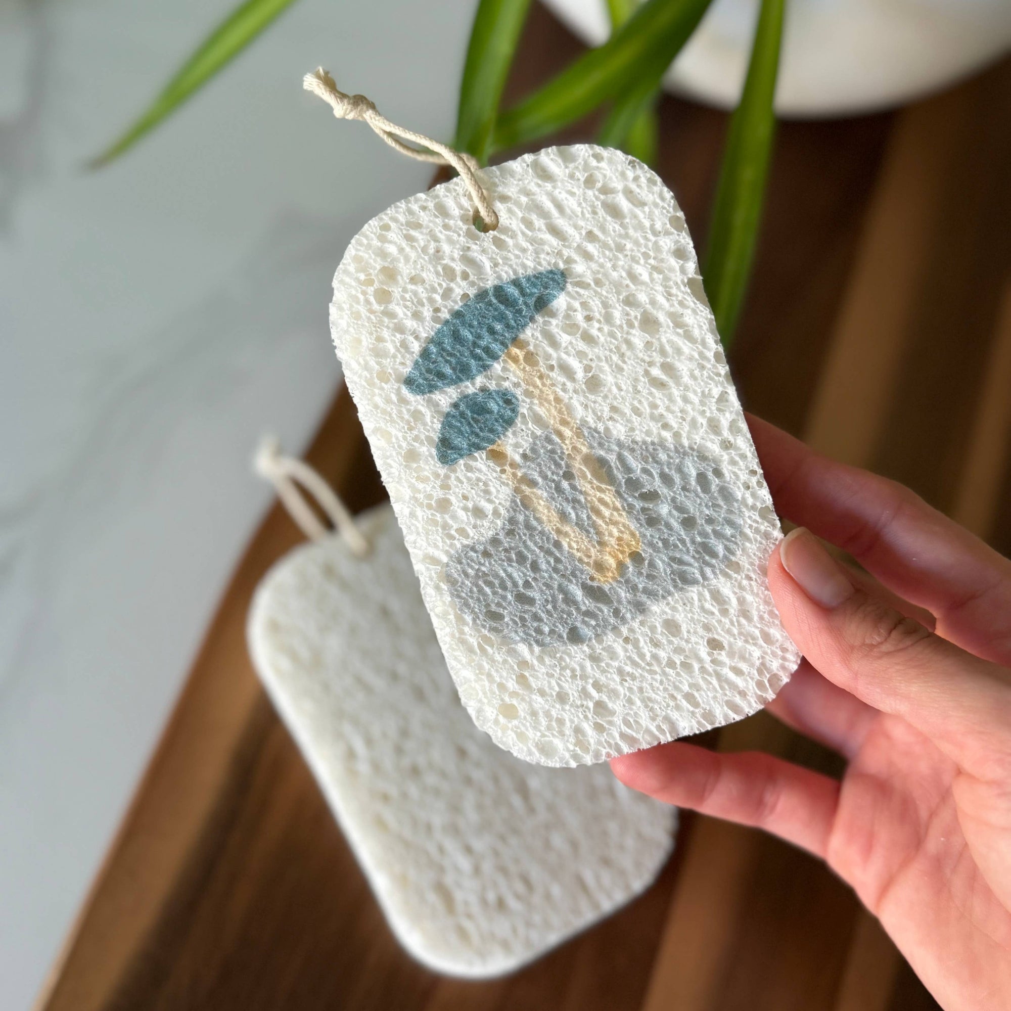 Pop Up Dish Sponges 3-Pack | Compostable + Zero Waste: Desert Collection