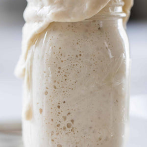 Organic, Non-GMO Sourdough Starter | Freeze Dried |  12gm
