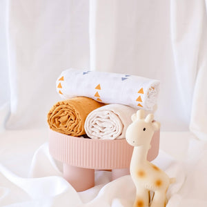 Giraffe Gift Set