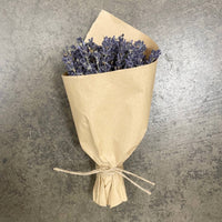 MINI French Lavender Bundle