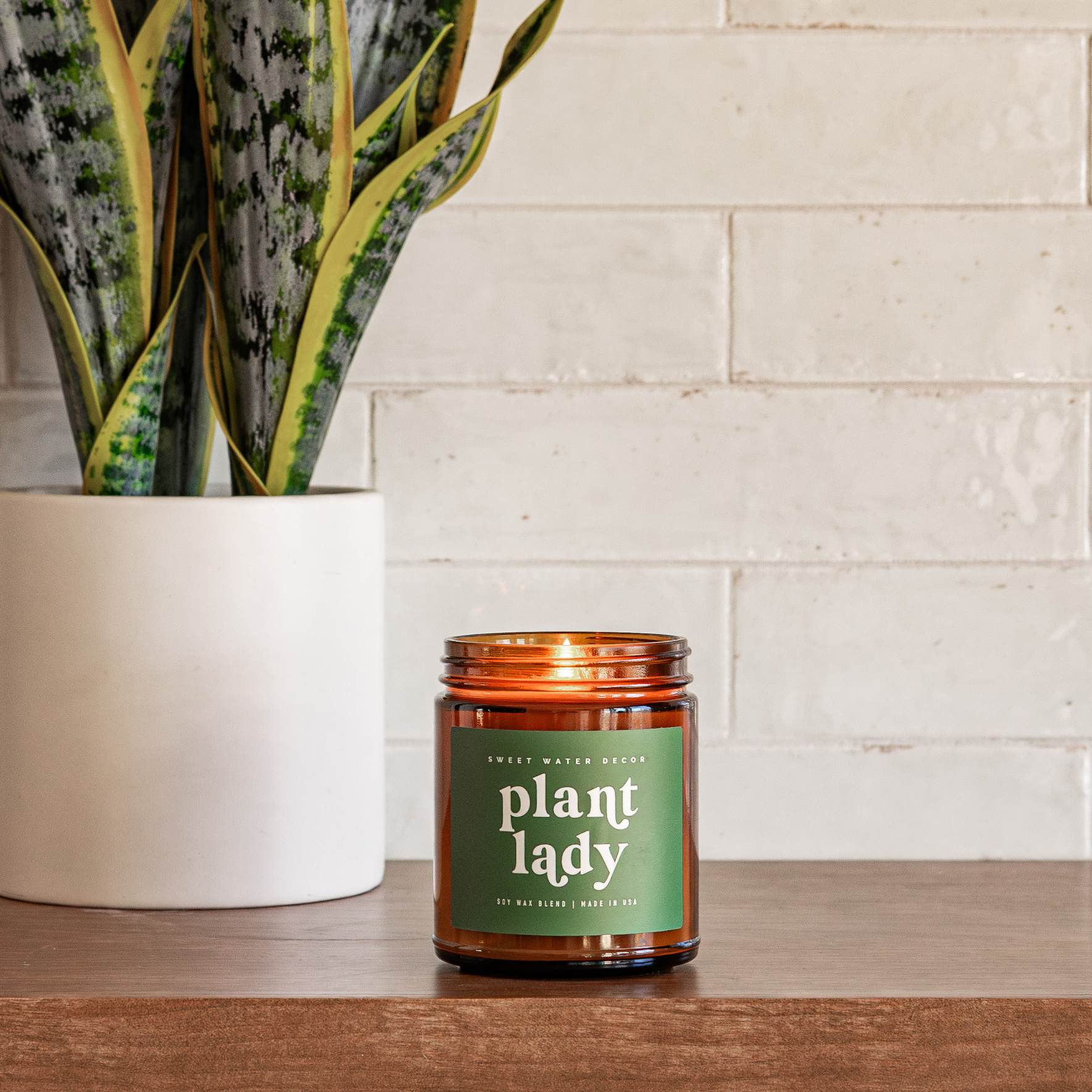 LIMITED EDITION Plant Lady 9 oz Soy Candle - Home Decor - Lemon & Lavender