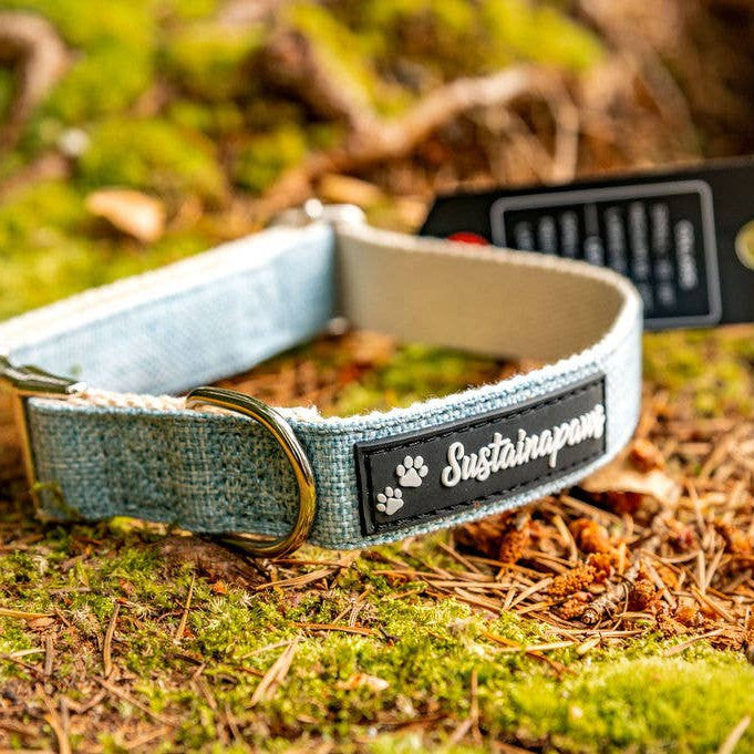 Sustainapaws Hemp & Organic Cotton Eco Dog Collar - Lemon & Lavender