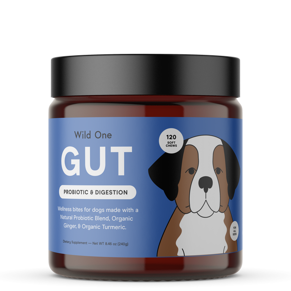 Wild One Supplements - Gut