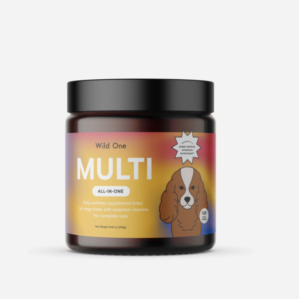 MULTI All-In-One Supplement