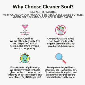 Cleaner Soul Spray - All Purpose Cleaner - Lemon & Lavender