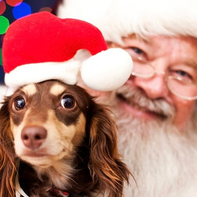 Pet Pics with Santa 12/3, 2-5 pm